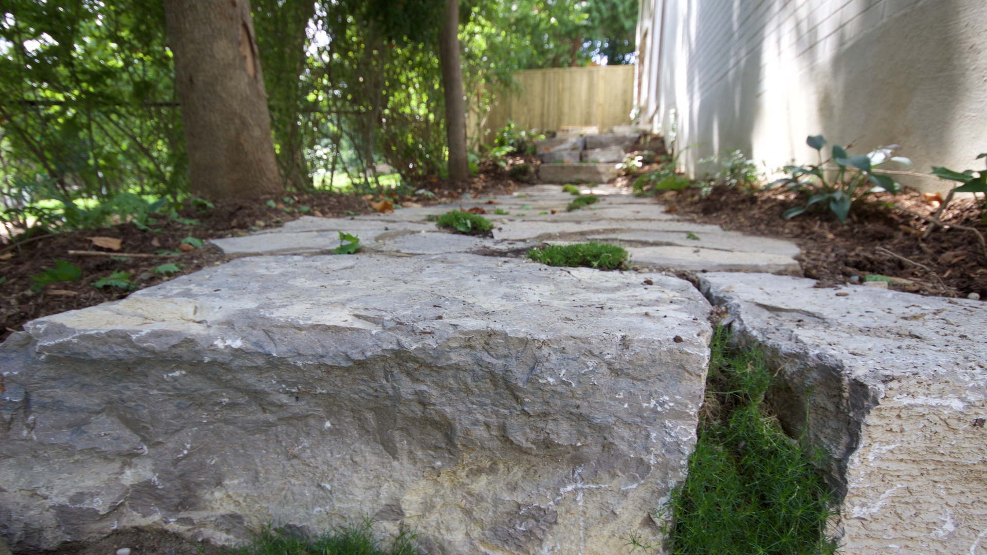 Close up picture of natural armour stone steps. Spaces in between the stones are filled with planted Irish moss. Traditional landscaping project in London Ontario.